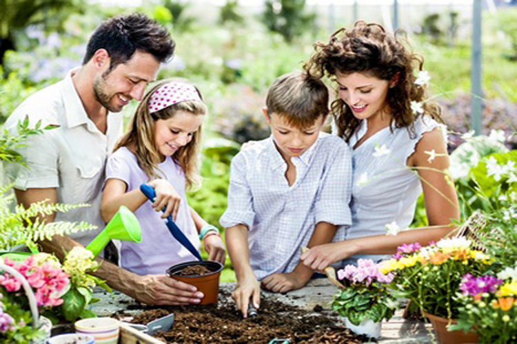 Inicio beneficios de tener una huerta en tu hogar