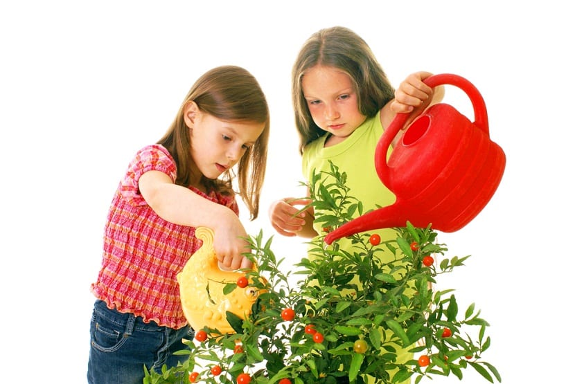 Beneficios de tener una huerta para niños